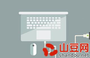 首码是第一个码吗,首码是干什么的