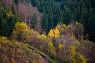 中国最独特的景色中国那些旅游地最受欢迎,最美的秋天在哪里?