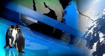 世界上最帅的奥特曼是谁的短视频，看过世界上最帅的奥特曼