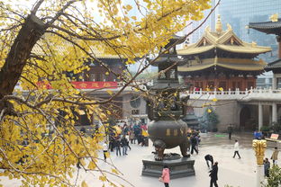 中国最出名的祠堂，中国哪里祠堂最正宗