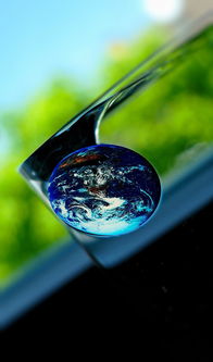 世界最好看的水母，世界前十大的水母