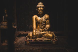 世界最大的金佛像，世界第七大金佛排名前十
